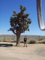 Hunter next to a Joshua tree.jpg